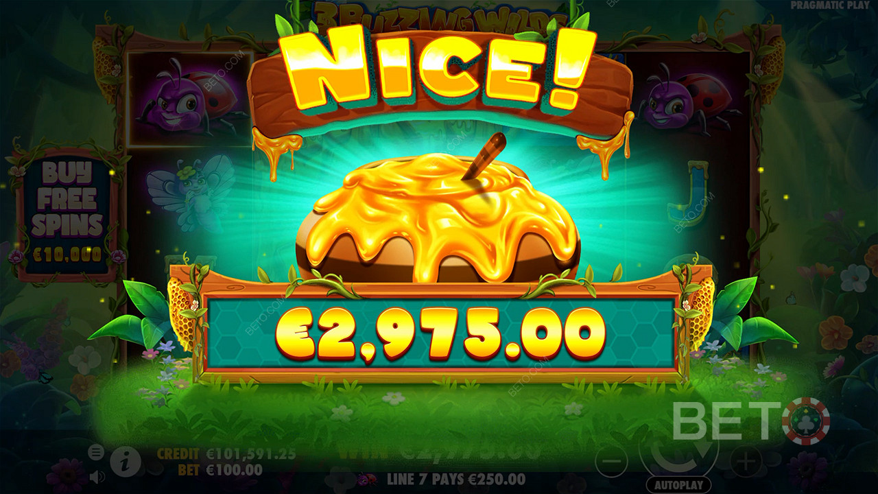 Gewinnen Sie das 5.000-fache Ihres Einsatzes im 3 Buzzing Wilds Slot Online!