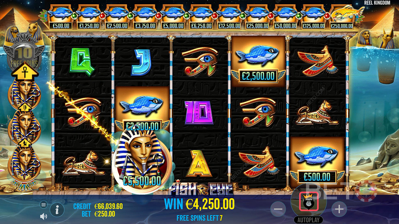 Fish Eye Überprüfung durch BETO Slots