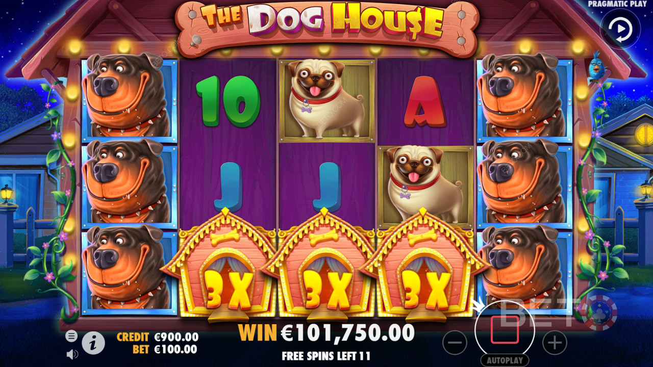 The Dog House - Ein sehr freundlicher und beliebter Slot
