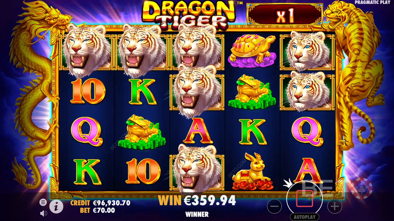 Die Multiplikatoren kommen während des Freispielbonus im Dragon Tiger online slot ins Spiel