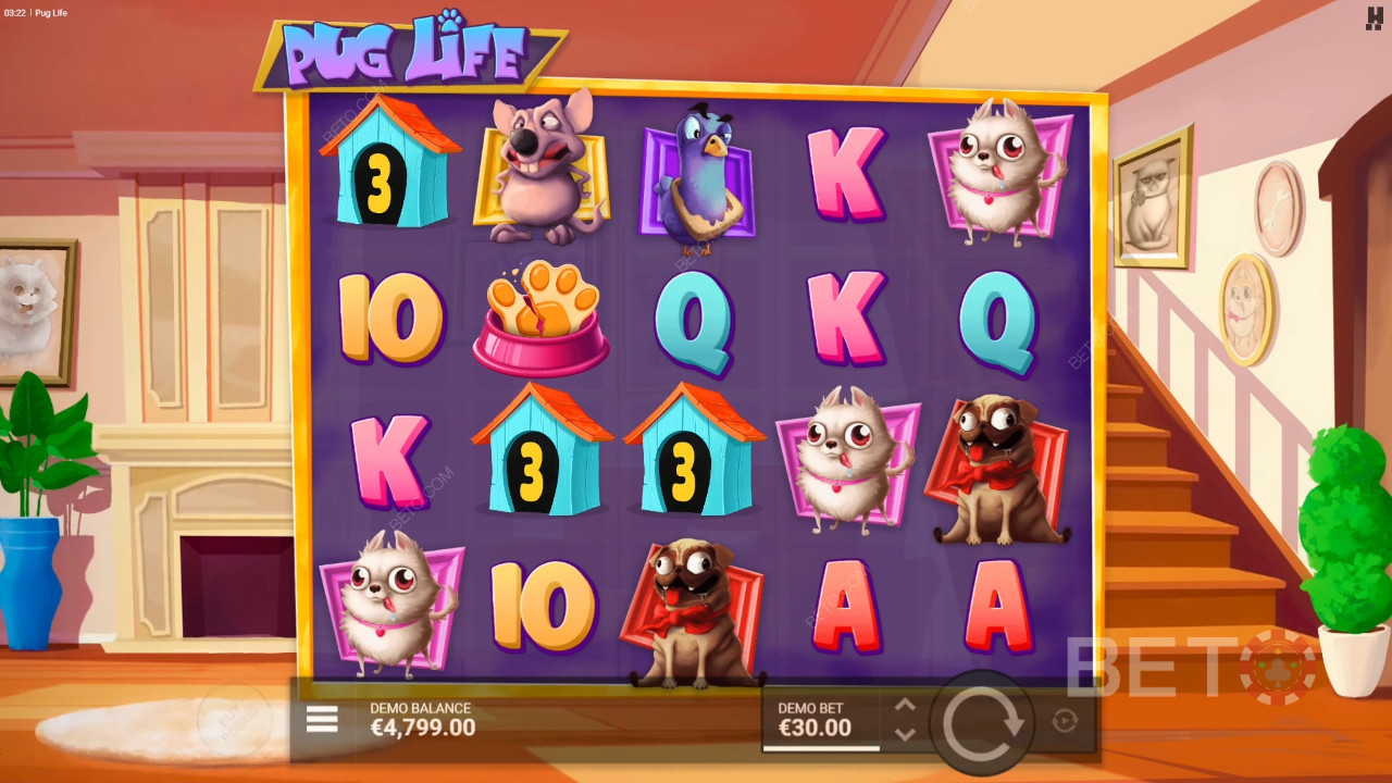 Mopsleben Testbericht von BETO Slots