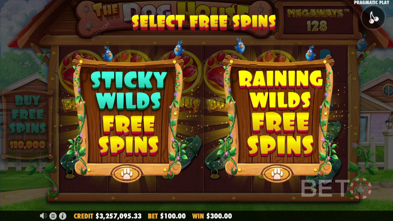 Zwei Free Spins-Modi verfügbar - Sticky Wilds Free Spins oder Raining Wilds Free Spins