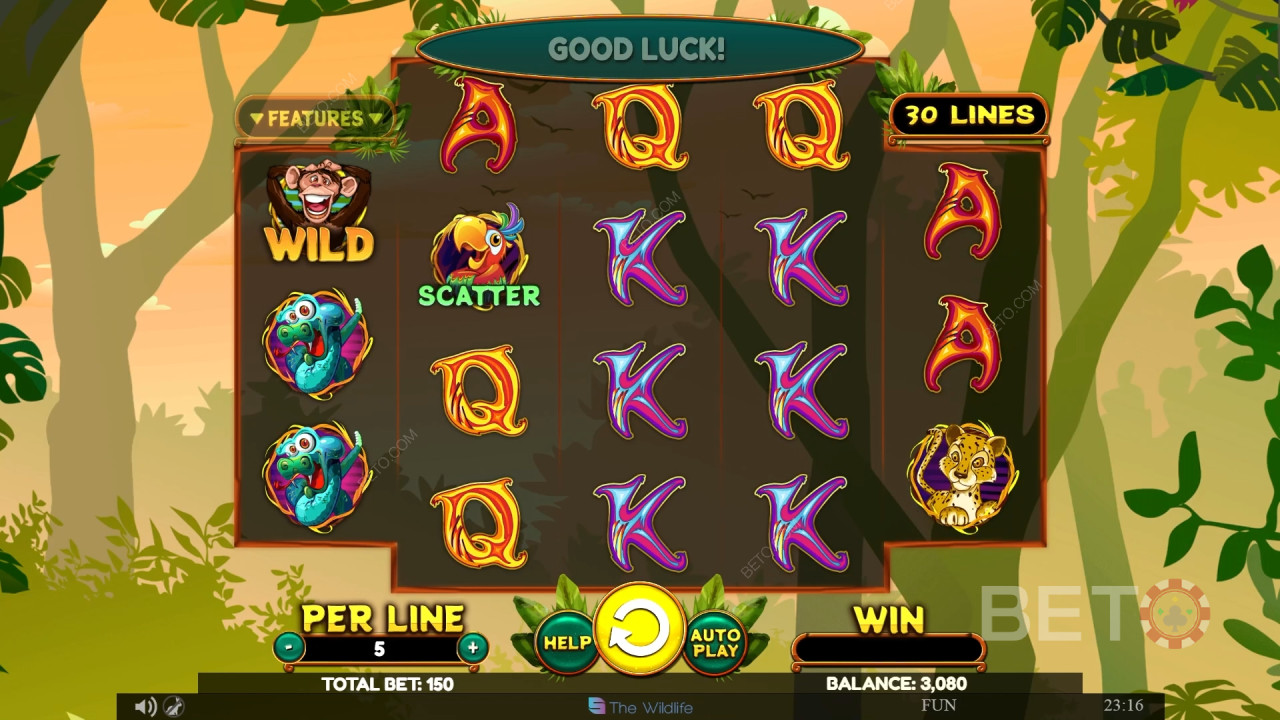 Wacky Monkey Überprüfung durch BETO Slots