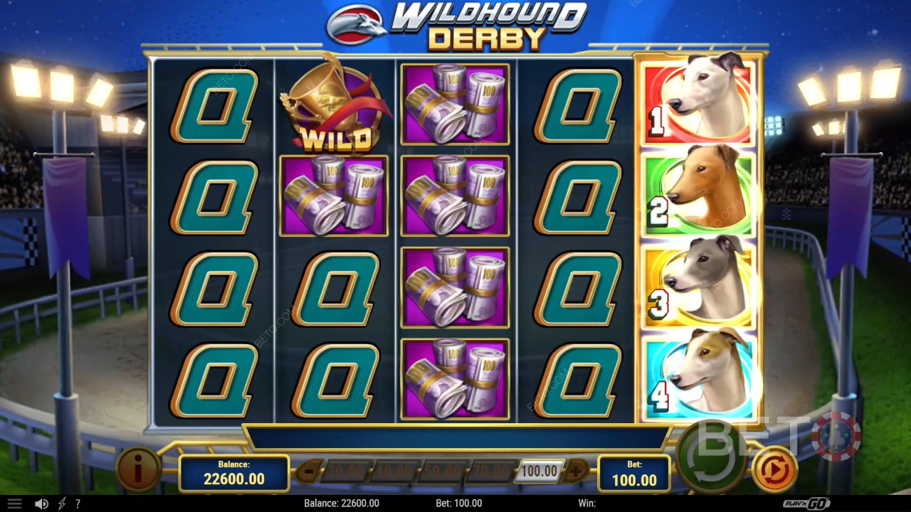 Wildhound Derby Überprüfung durch BETO Slots