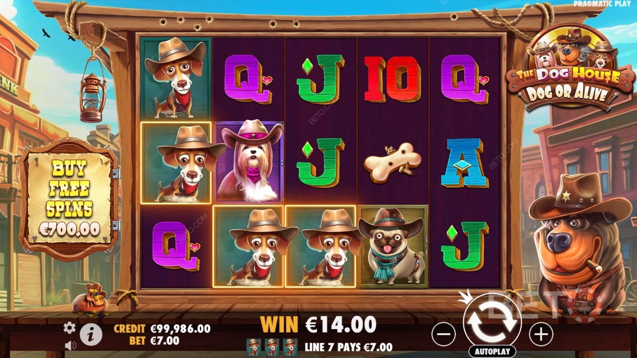 Thema und Gestaltung: Wild West Dogs