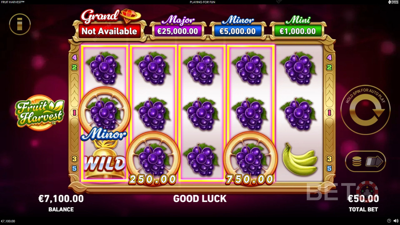 Erklärte Bonusfunktionen in Fruit Harvest von Rarestone Gaming