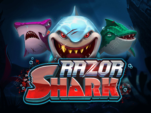 Razor Shark Online Spielautomat