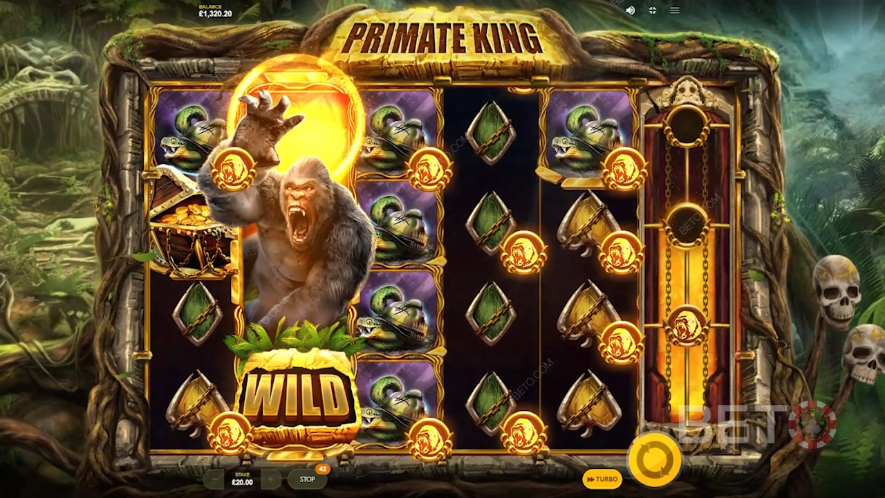 Primate King von Red Tiger Gaming ist mit vielen großartigen Bonusfunktionen gespickt