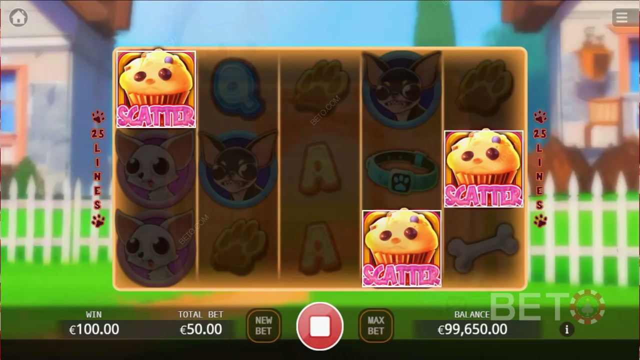 Chihuahua Party Überprüfung durch BETO Slots