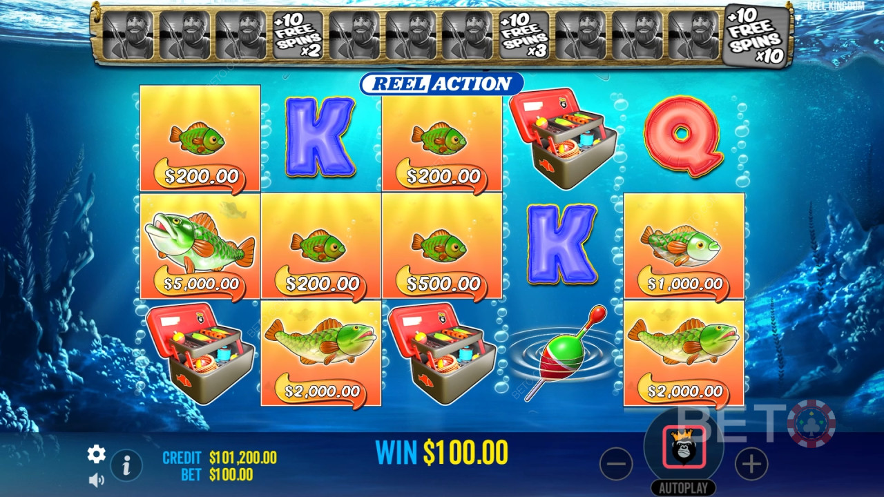 Wie man Reel Kingdom