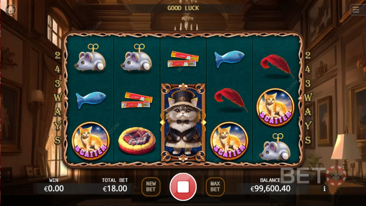 Noble Cat Kostenlos Spielen
