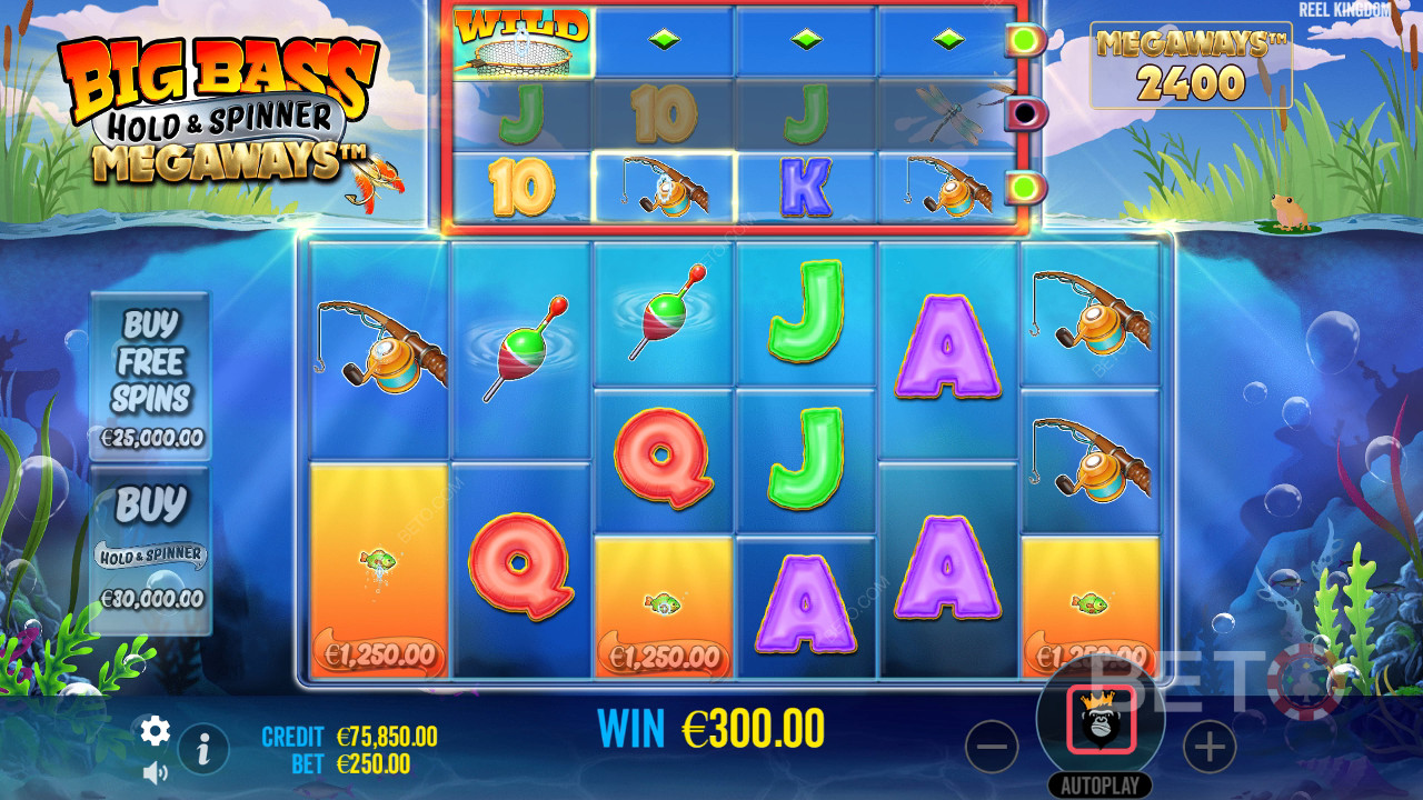 Wie man Reel Kingdom