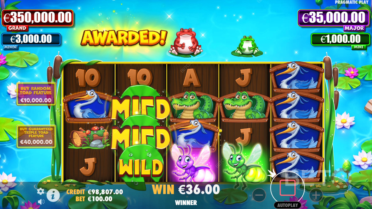 Winzige Kröten Überprüfung durch BETO Slots