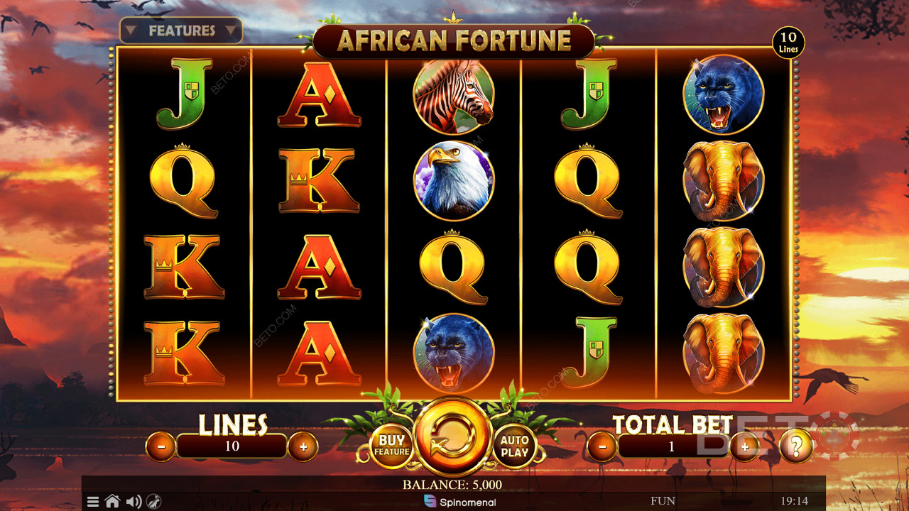 Das 5x4-Spielfeld von African Fortune