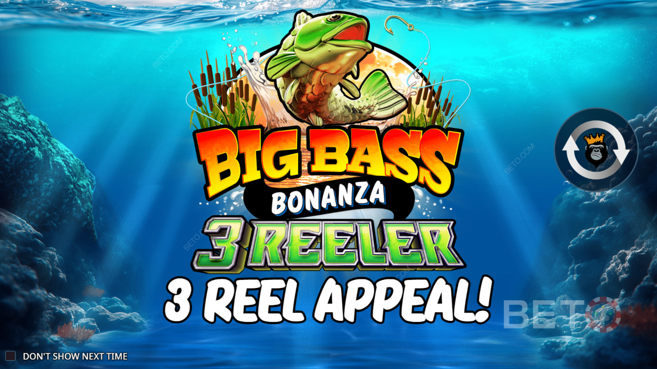 Wie spielt man Reel Kingdom