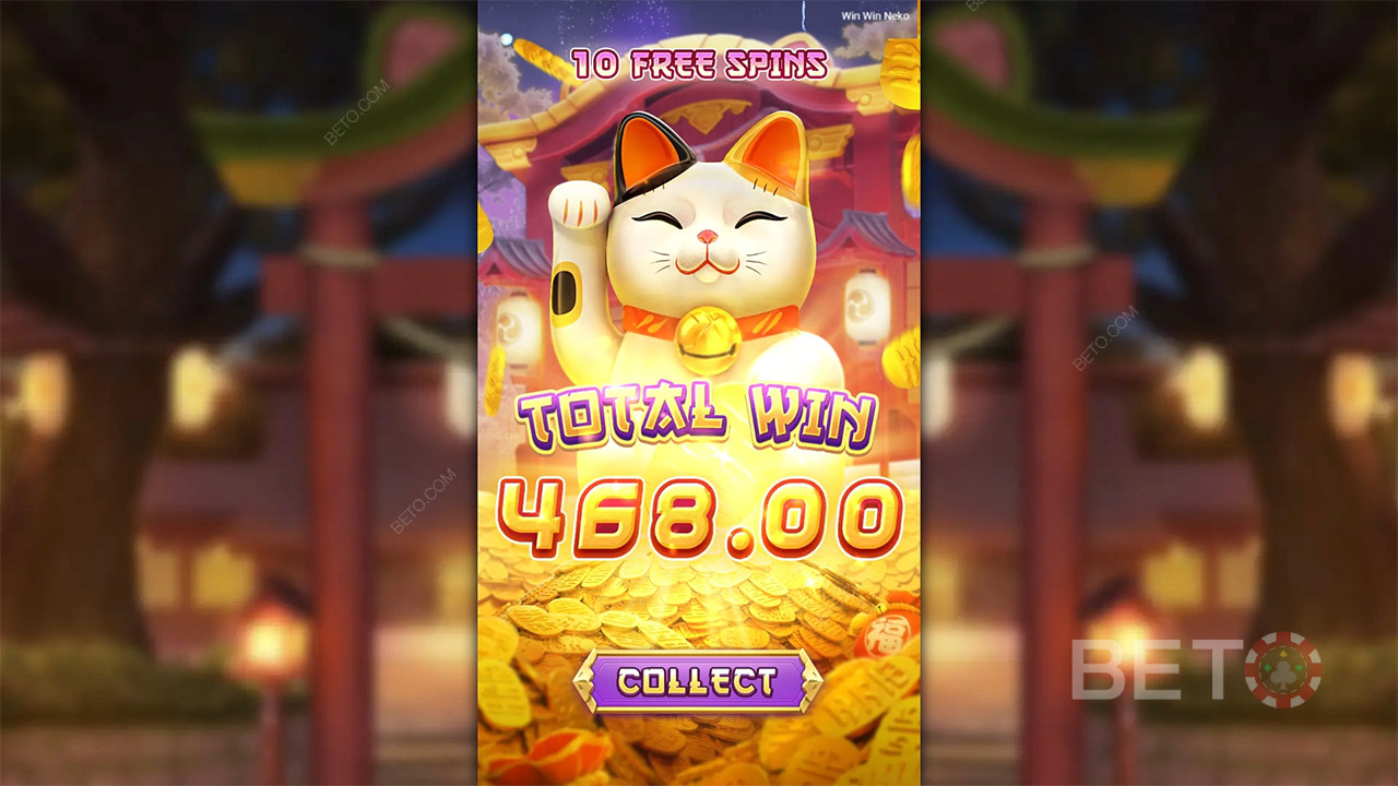 Win Win Neko - Ja oder Nein