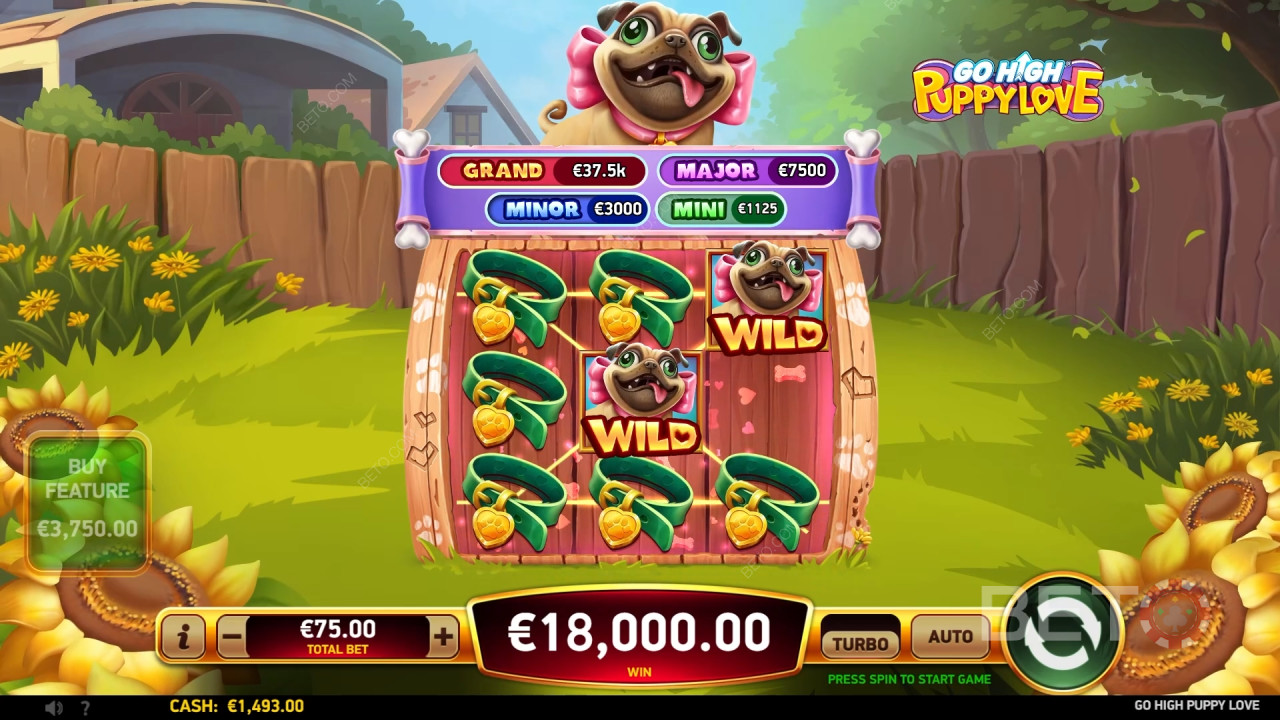Go High Puppy Love Kostenlos Spielen