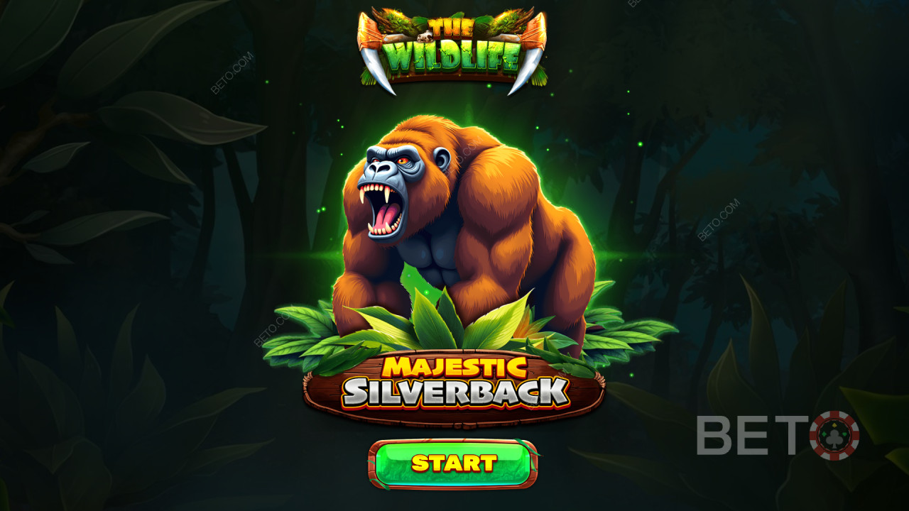 Die Bonusfunktionen in Majestic Silverback erklärt von Spinomenal