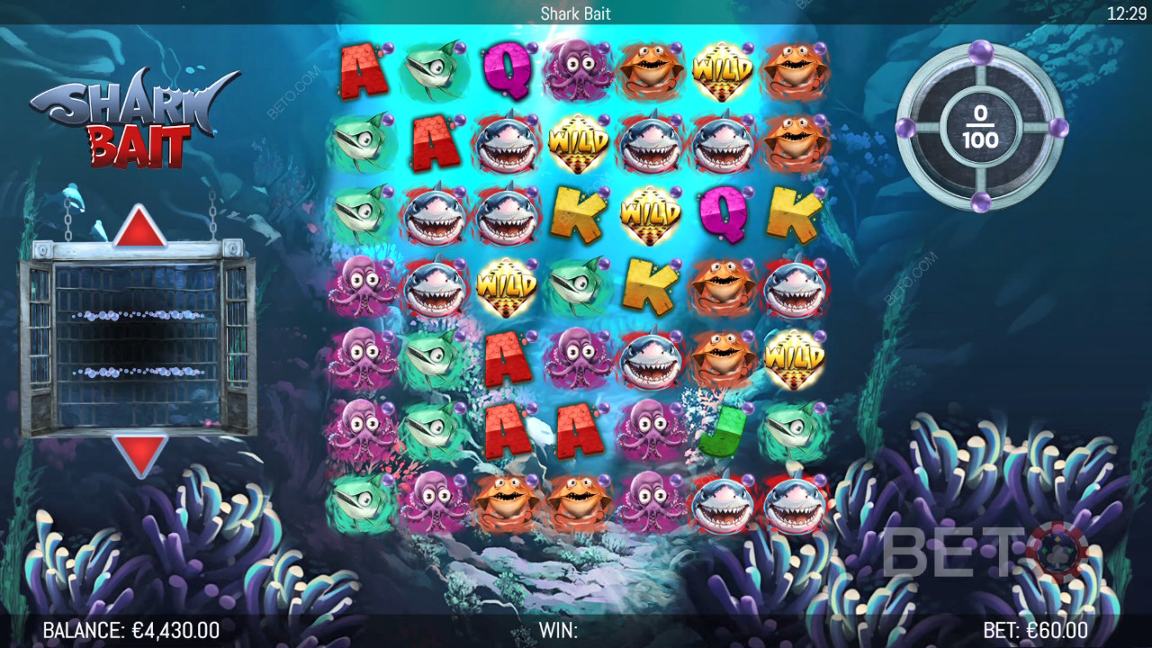 Erklärte Bonusfunktionen in Shark Bait von Hungry Bear