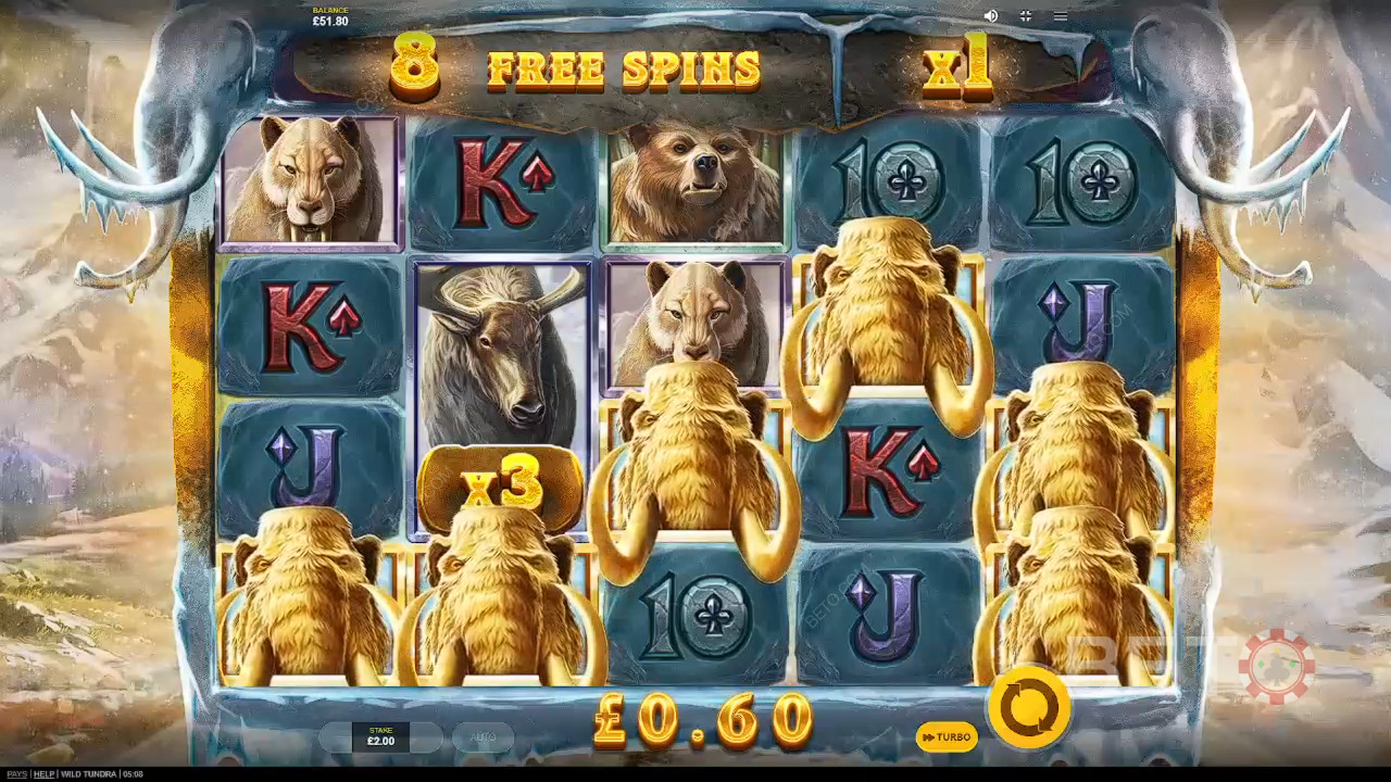 Wild Tundra Überprüfung durch BETO Slots