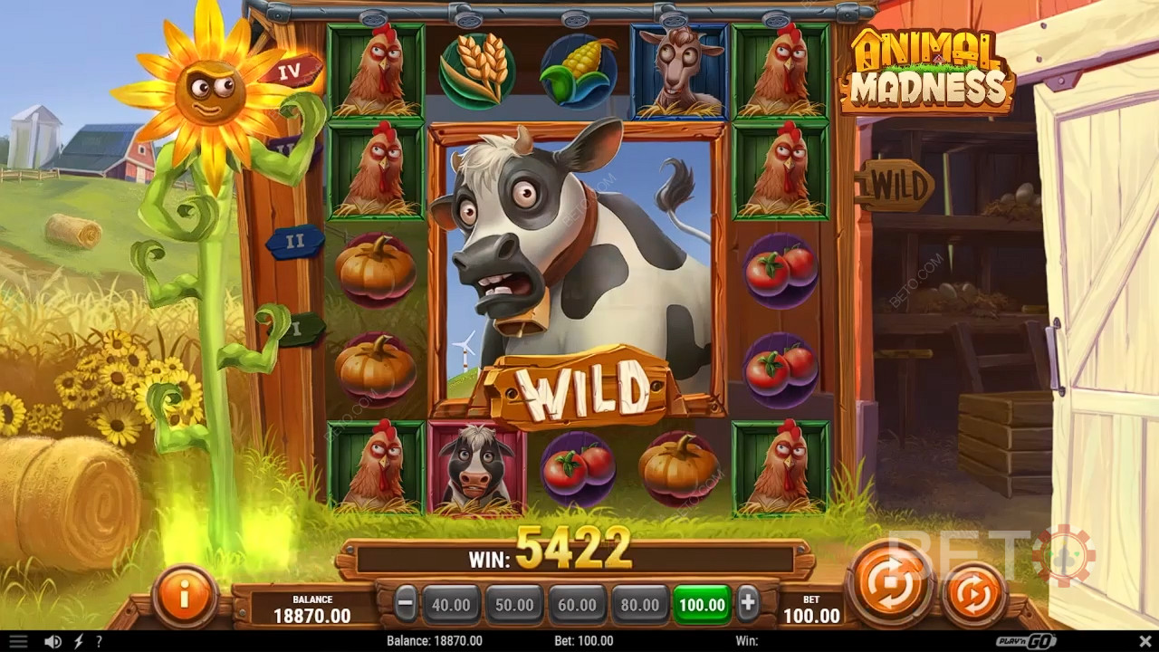 Animal Madness Überprüfung durch BETO Slots