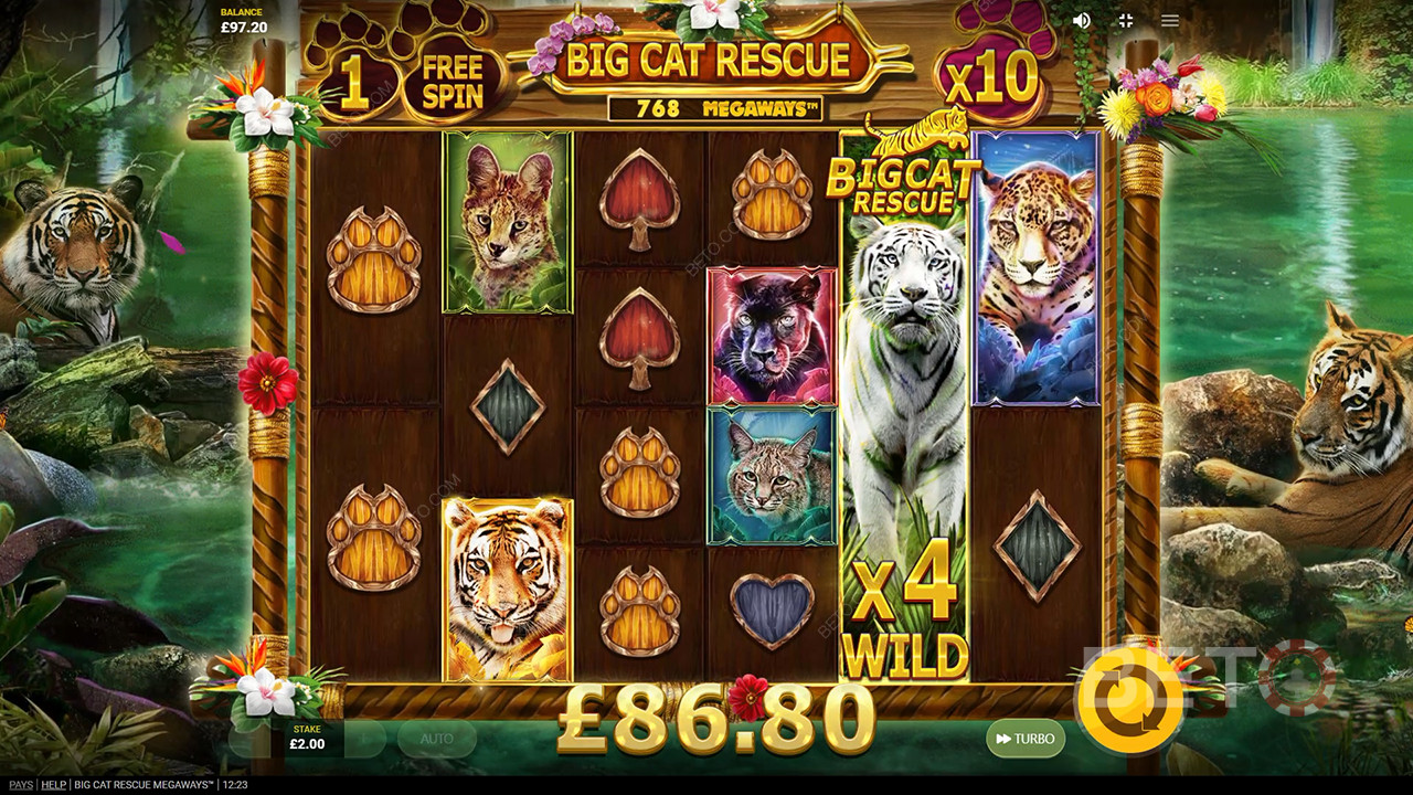 Big Cat Rescue Megaways Überprüfung durch BETO Slots