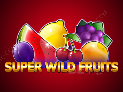 Super Wild Fruits Demo